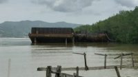 IMG-20210310-WA0069