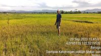bb08370f-2a5d-483c-aa59-9823a47f2800