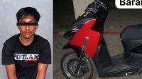 Maling motor