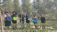 IMG-20261024-WA0002